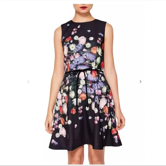 Ted Baker Izobela Kensington Floral Dress, Size 0 - Picture 2 of 4